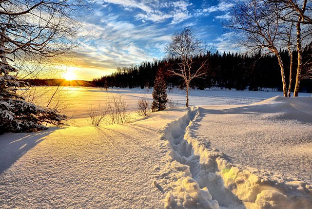 paysage d'hiver